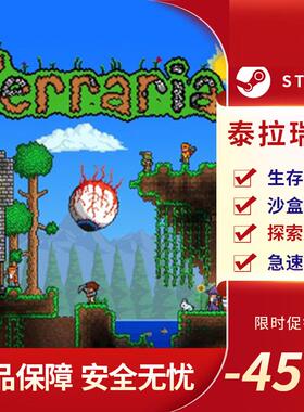 泰拉瑞亚steam Terraria 激活码 cdk正版PC中文 兑换码 cdkey