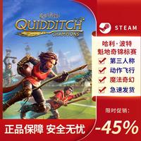 哈利·波特：魁地奇錦標