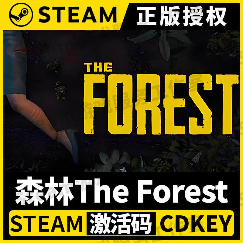【森林The Forest】单机Steam正版游戏授权国区CDK激活码PC端中文