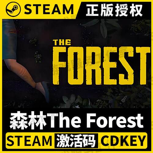 【森林The Forest】单机Steam正版游戏授权国区CDK激活码PC端中文