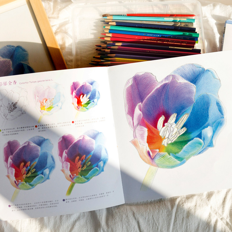彩铅花卉植物手绘本成人儿童画画临摹涂色线稿画册书入门教程书治愈