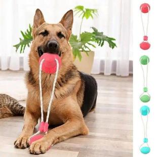 Toy Tug Suction Rope Dog War Toys Cup