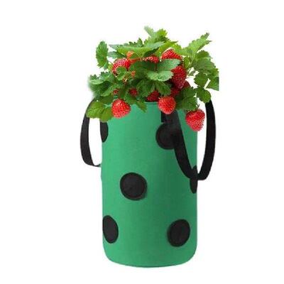 Strawberry Grow Bags Planting Bag Plant Grow Hanging Bag