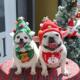 Clothes dogs for Christmas pets Cats Pet Decorations