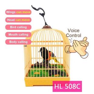 toys bird talking birds Family cage pet