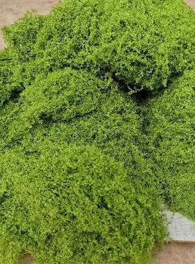 Green Fake Moss DIY Crafts Grass Artificial Moss Faux Preser
