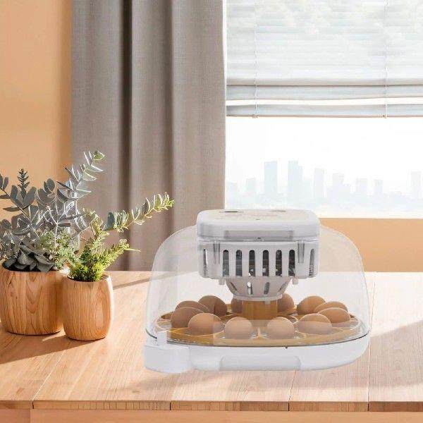 Chicken Egg Incubator Temperature and Humidity Control for