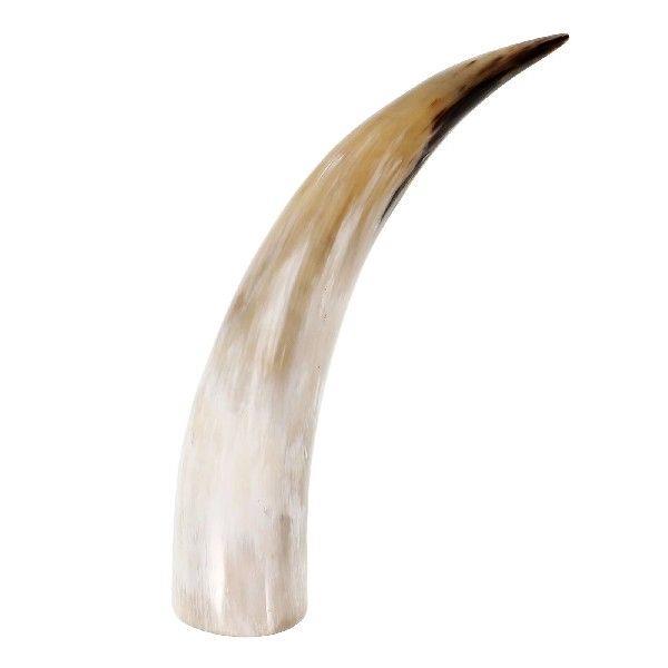 Cow Horns in Vase Ox Wall Decor Western Vases for Flowers