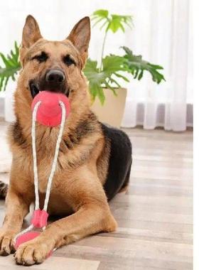 Suction Cup Dog Toy Tug Of War Rope Dog Toys Dog Tug Toys