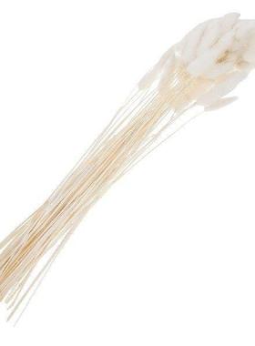 Black Bunny Tails Dried Flowers Dry Fall Decor Grass Rabbit