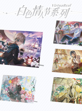 【现货】VirtuaReal 2025 白情立画