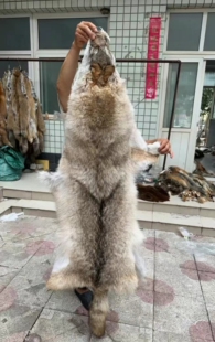 进口狼毛皮毛床边毯皮草家居摆件装 饰品坐垫DIY手工影视摄影道具