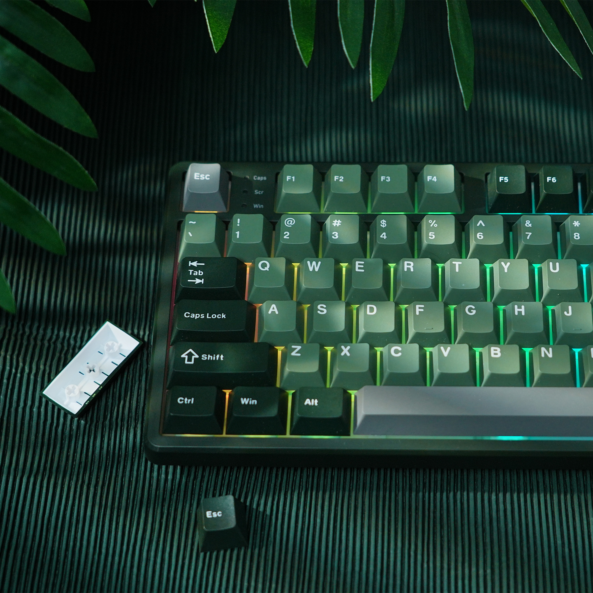 womier狼蛛迈从电脑机械磁轴无线蓝牙键盘办公游戏电竞专用K87