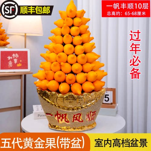 五代同堂黄金果盆栽插花年宵花