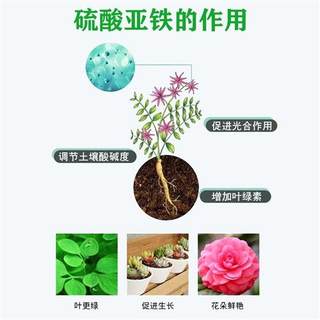 园艺花卉磷酸二氢钾肥料硫酸亚铁叶面肥家用装壮根促花促果水溶肥