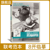 杨建飞 素描静物组合临摹书籍美术基础技法结构到位绘画册照片风暴高艺联考主导陈敲平陶罐门砖教学程材大八开范本正版 经典 全集