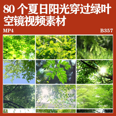 夏日阳光树叶自然穿过绿叶风景空镜视频小清新超清镜头实拍素材