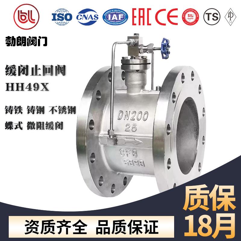 止回阀HH48XHH49X-1625微阻缓闭止回阀蝶式铸钢不锈