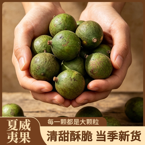 绿皮新鲜果广西夏威夷果清甜酥脆当季新货大颗粒坚果