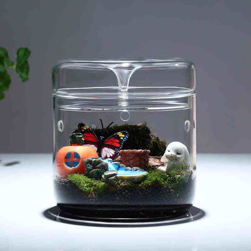 高硼硅玻璃办公室微观盆栽露集杯苔藓瓶植物盆景玻璃微景观生态瓶