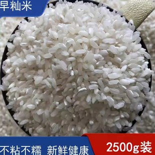 安徽陈新早稻米早籼米肠粉米皮发糕豆腐不粘不糯早谷炒饭生吃5斤