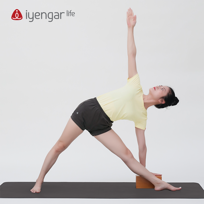 iyengarlife瑜伽习练套装女春夏