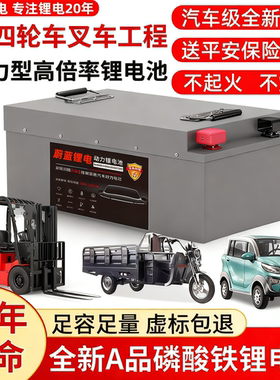 三轮车四轮车专用48v60v72v锂电池老年代步车全新宁德电芯大容量