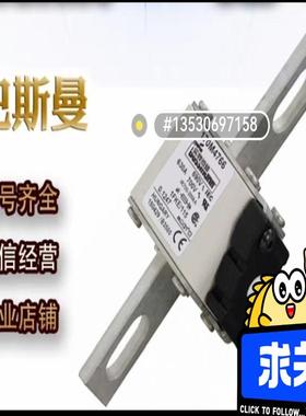 [议价]巴斯曼熔断器170M4766 170M4767 17