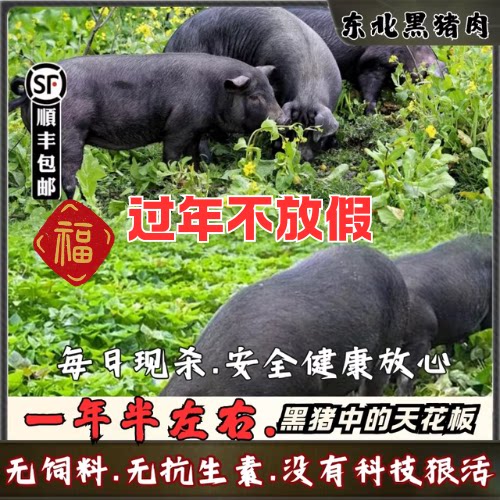 东北散养黑猪肉一年以上农家土猪笨猪新鲜现杀前腿五花肉排骨梅花