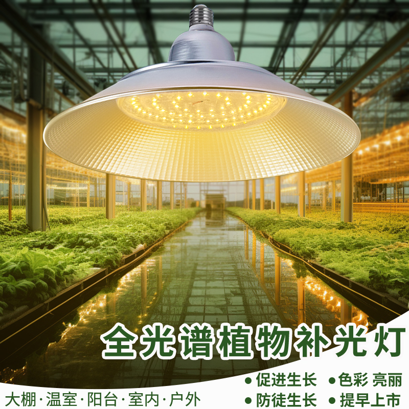 led仿太阳光草莓大棚植物生长灯