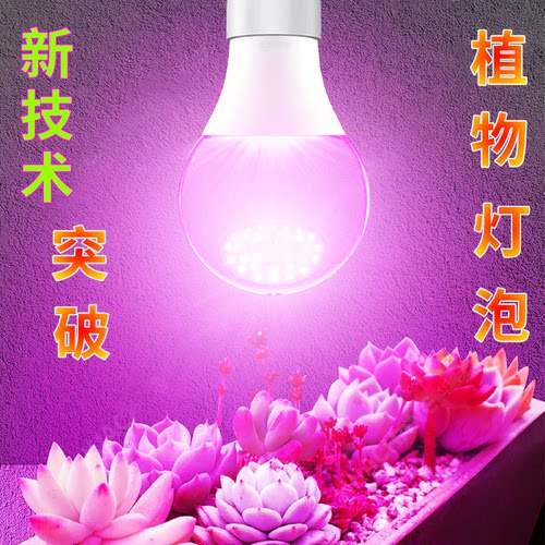 全光谱植物生长灯室内大棚