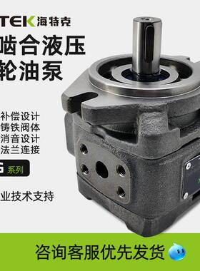 海特克HG1-63-01R-VPC内啮 合伺服油泵HG0 CP0-8/16/20/32 HG2-12