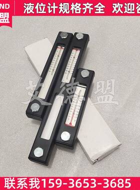 重型油位计 SNA127BNT10 SNA127-B-S-T-12 油箱液位计SNA127BNT12