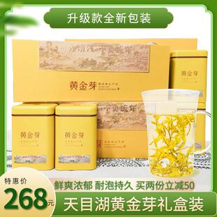 新品溧阳浓香型绿茶2023新茶天目湖黄金芽安吉白口粮黄茶250克礼