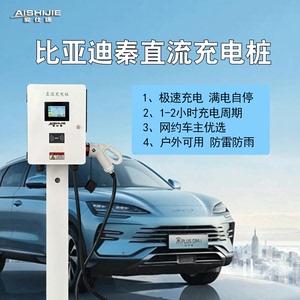 比亚迪D1秦宋汉唐腾势220v直流快充电桩9孔7kw/20kw/30kw电动汽车