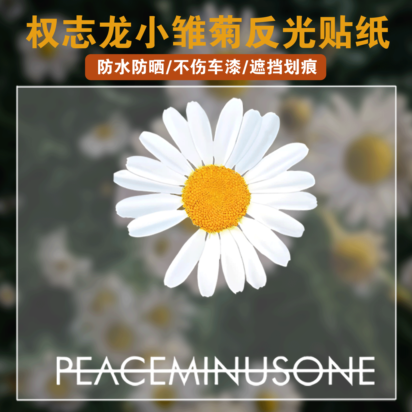 权志龙小雏菊个性创意汽车贴纸藤原浩可定制改装车身贴摩托车贴纸