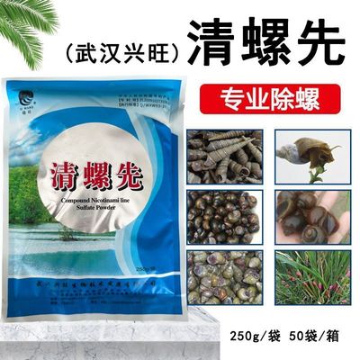 灭螺鱼安清螺先鱼塘虾塘杀福寿螺