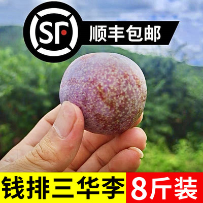 钱排三华李！8斤装！顺丰速发