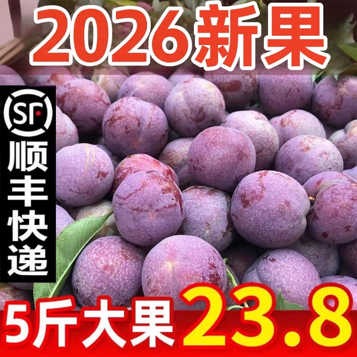 新鲜三华李广东信宜钱排红心李子孕妇水果现摘酸脆甜广西当季5斤