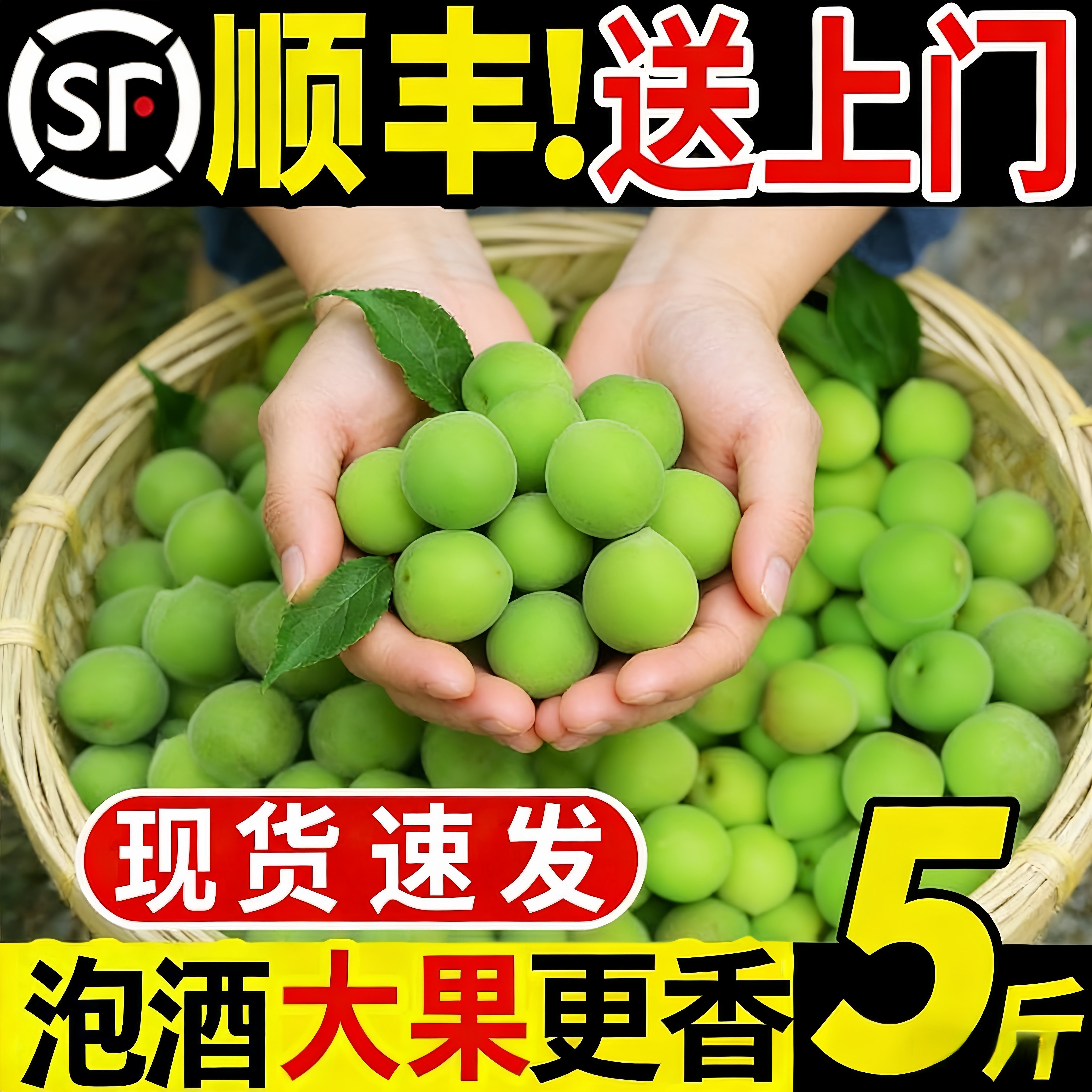 【顺丰】新鲜青梅果水果深山梅野生酸脆梅泡酒酵素非诏安青梅整箱