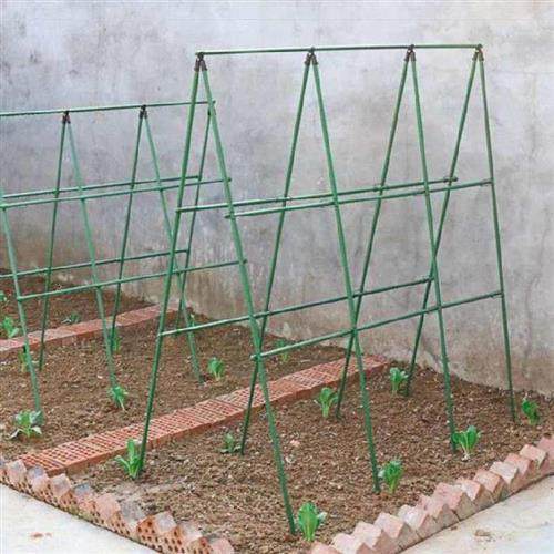 大棚架豆角架家用露台佛手瓜搭架杆蔓藤菜地豆角架黄瓜架子户外