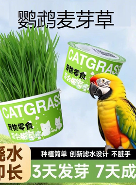 鹦鹉麦芽草促进消化专用鸟草零食
