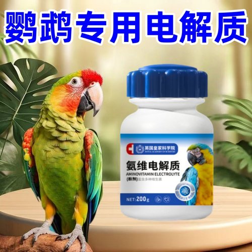 鹦鹉鸟用电解质多维补充体力