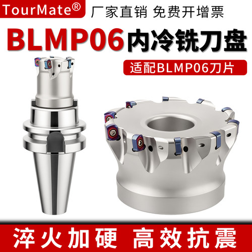 BLMP0603R内冷铣刀盘双面快进给铣刀盘BLMP0603R铣刀片平替特固克