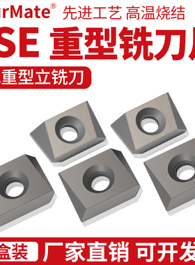 立装铣刀片LSE434R/L01粗精复合LSE446R/L01铣刀盘刀片LSE435R100