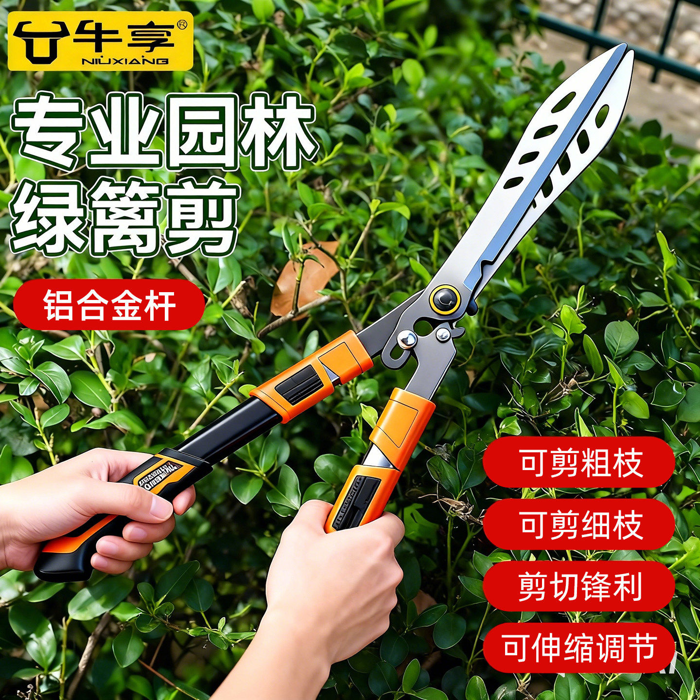 园艺剪刀果树修枝剪粗枝剪子绿化园林草坪专用大剪刀可伸缩篱笆剪
