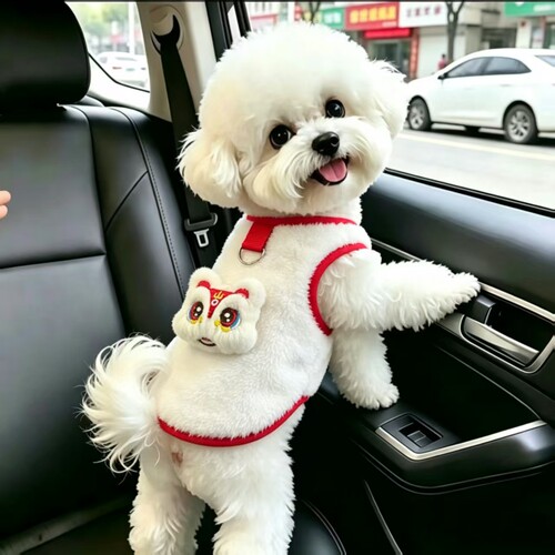 小泰迪博美衣服可牵引幼犬宠物衣服加绒保暖款超萌小猫咪衣服背心
