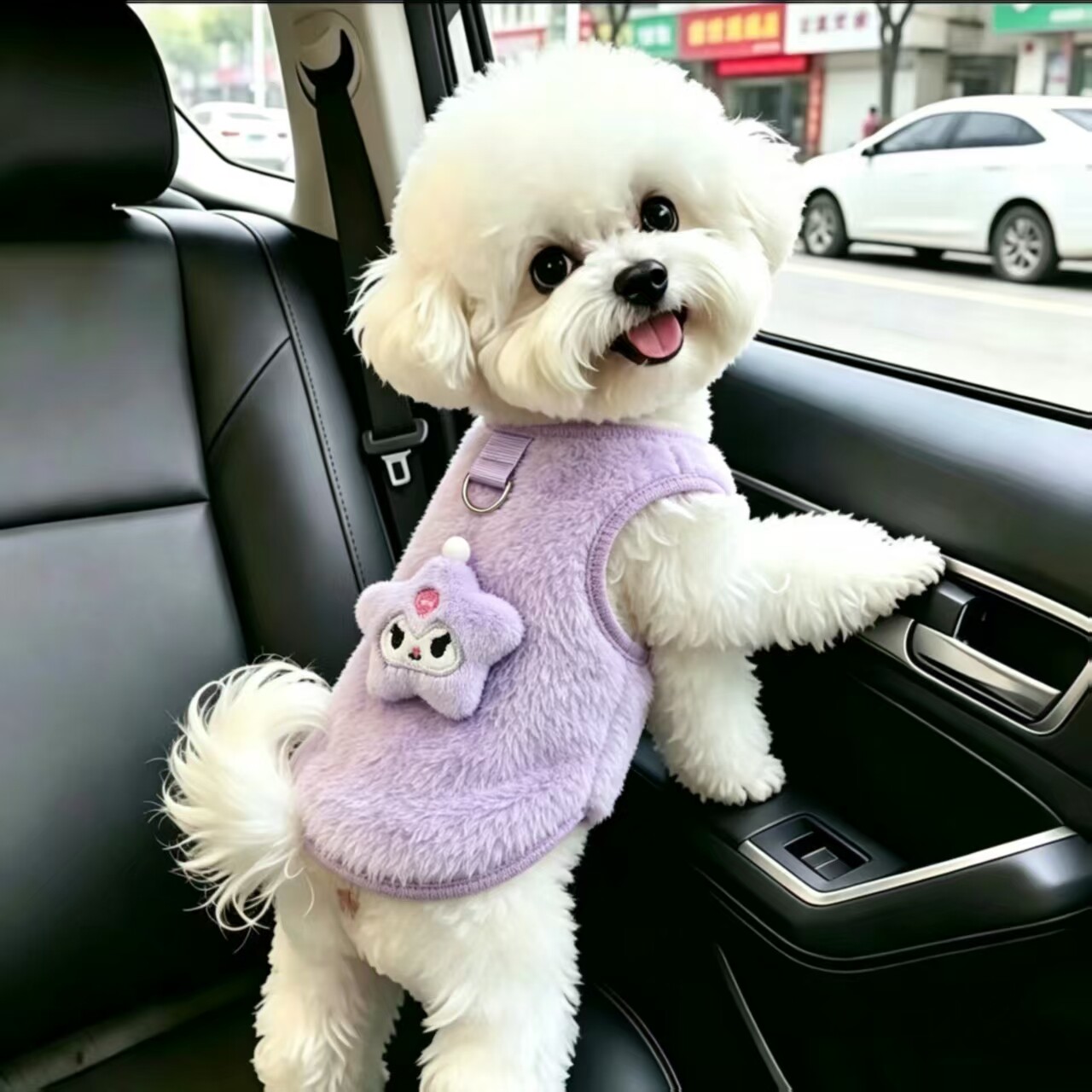 小泰迪狗幼猫加厚保暖小猫咪背心可牵引小狗冬天加绒宠物狗狗衣服
