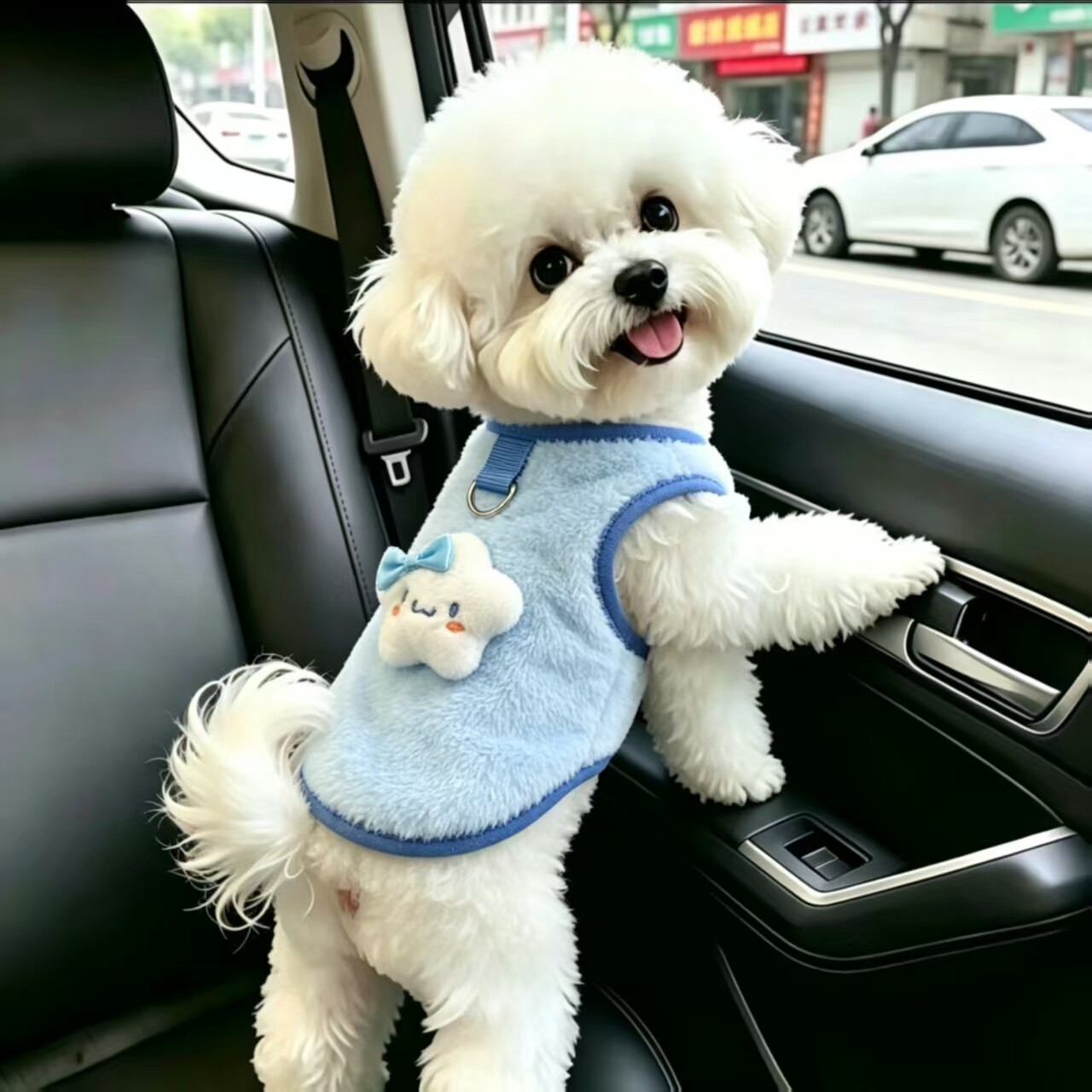 泰迪猫咪牵引比熊小型幼犬保暖加厚小猫咪绒衣狗狗衣服秋冬款衣服