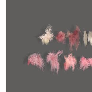 【自动发货】手绘花艺素材单支婚礼花艺手绘龙须草粉黛子毛毛花艺